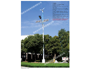 風(fēng)光互補太陽能路燈FGD-30